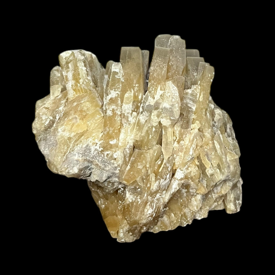 Baryte sifflet du Maine France