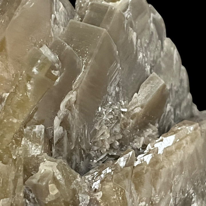 Baryte sifflet du Maine France
