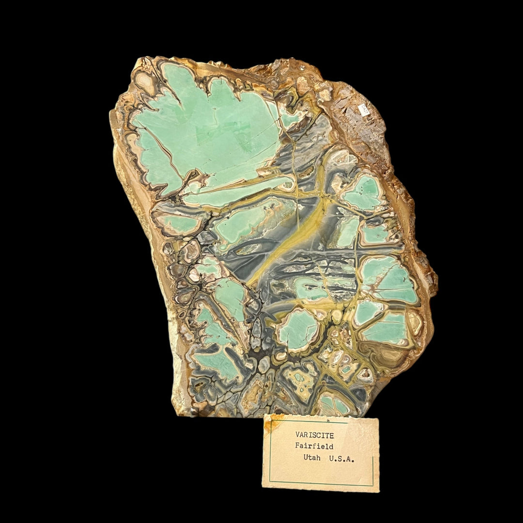 Variscite Crandallite wardite Fairfield Utah USA 8 inch DA27