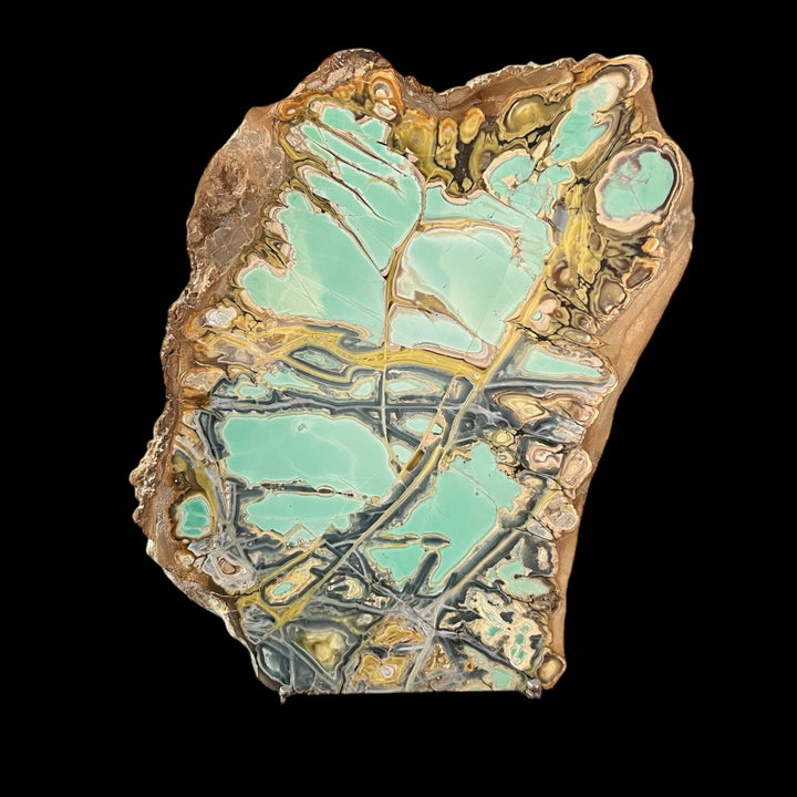 Variscite Crandallite wardite Fairfield Utah  USA 8 inch