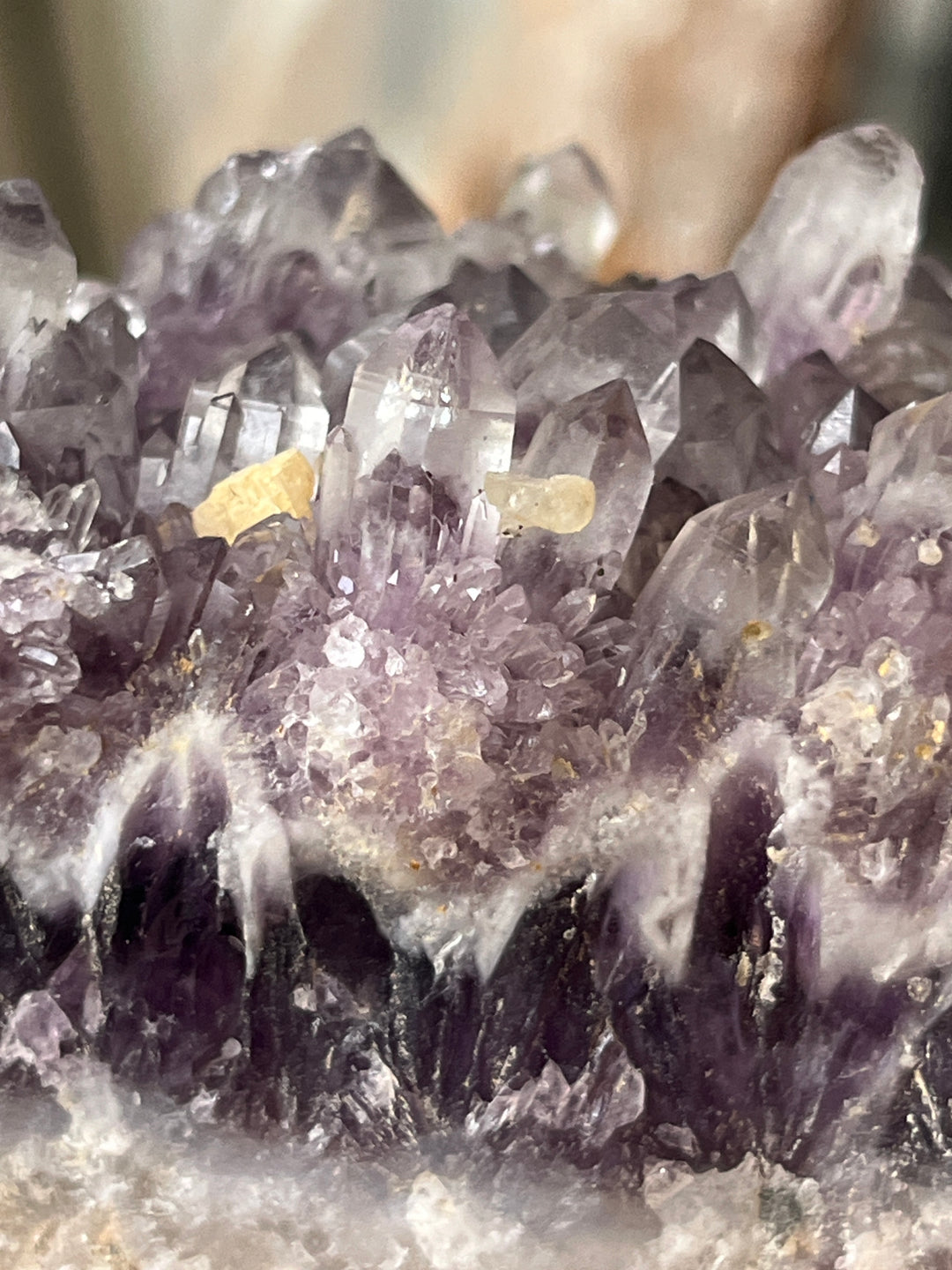 Améthyste cactus d’alaçam Turquie DR126