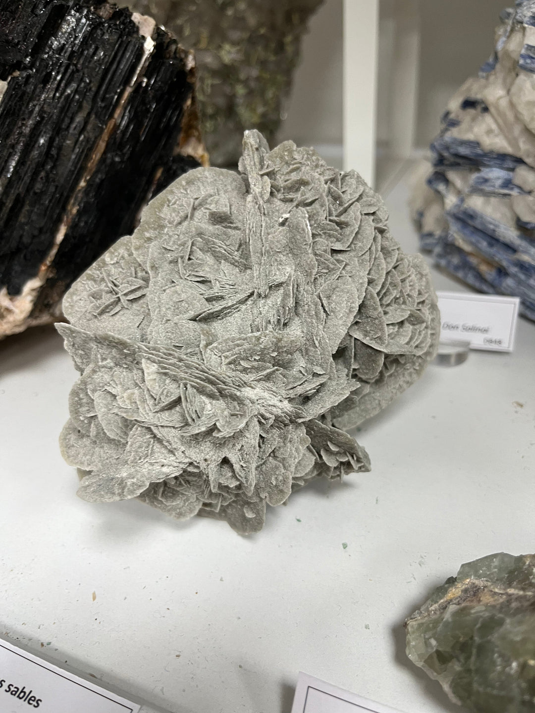 Sandrose Galera Spanien DW235