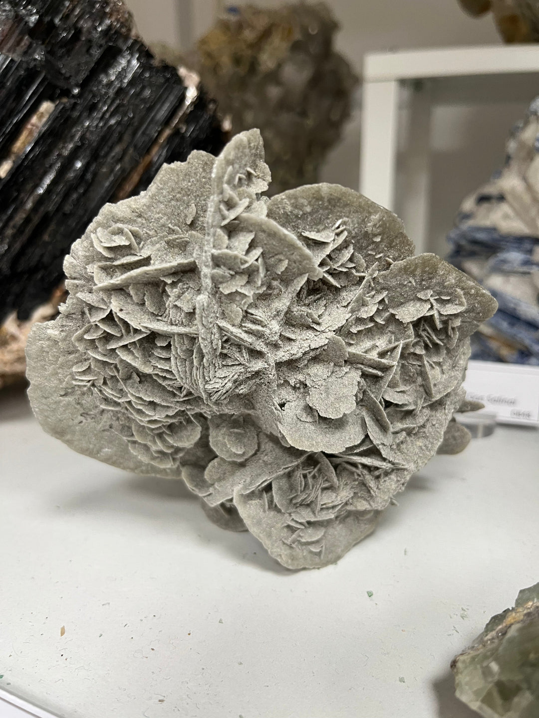 Sandrose Galera Spanien DW235