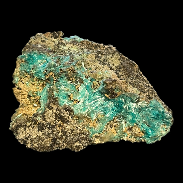 Aurichalcit-Hemimorphit 79 Mine Arizona USA C10