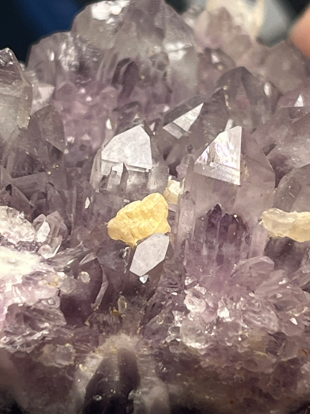Guanajuato Amethyst-Varietät Quarz DR126