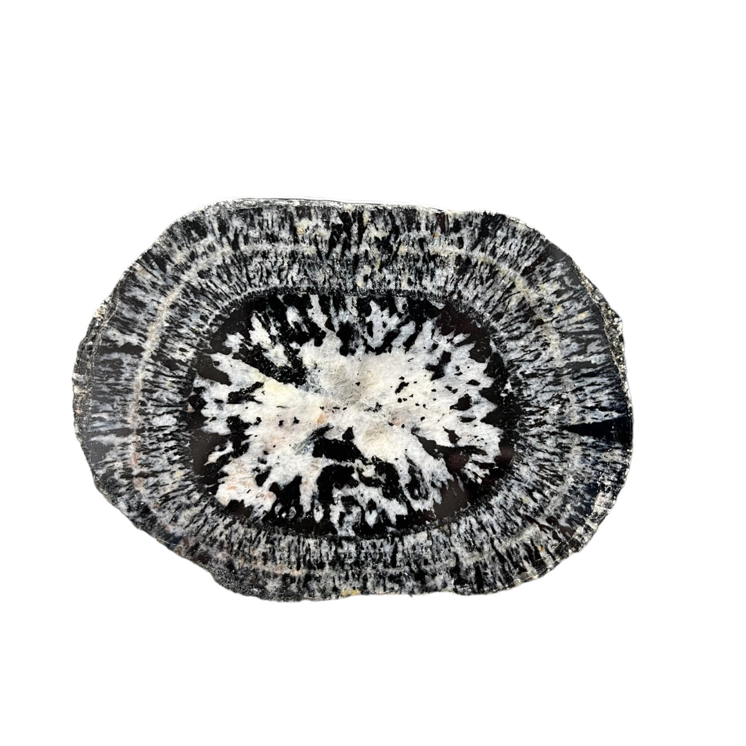 Granodiorite or diorite Australia M18S220