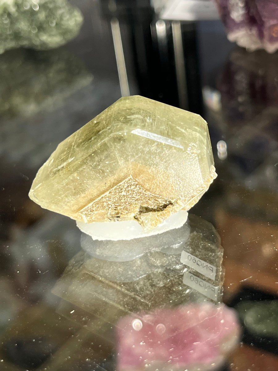 Fluorapatite Panasqueiras Portugal PNQ