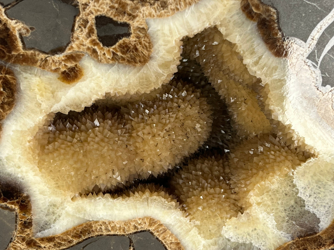 Septaria, Utah, USA DA91