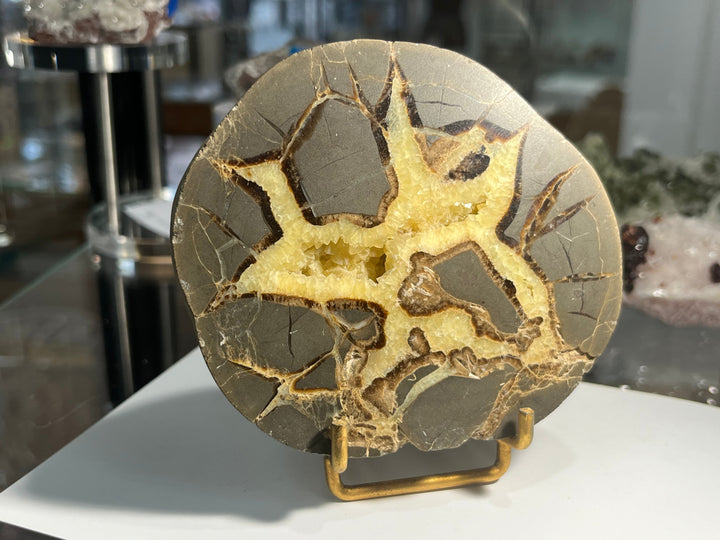 Septaria-Kalzit Utah USA C124