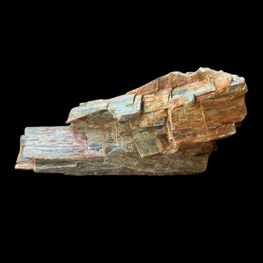 Kyanit (Kyanit) Indien M18W75