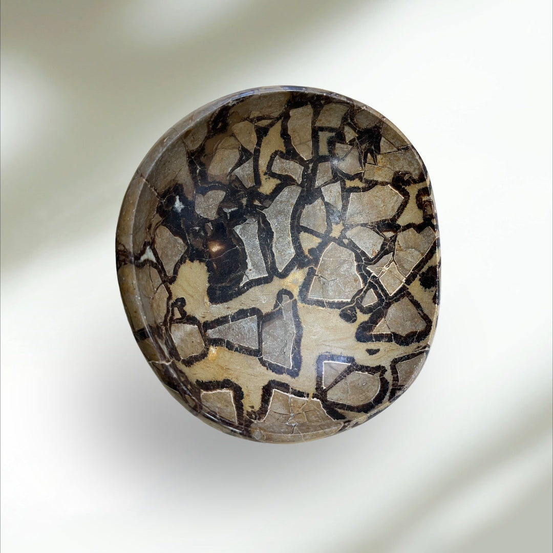 DR262 Septaria Glas-Schmucktablett