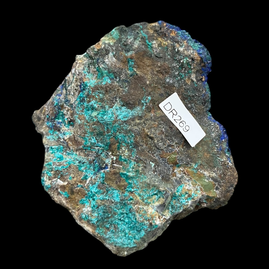 Azurite Chrysocolle malachite,Bisbee  mine  USA  DR269