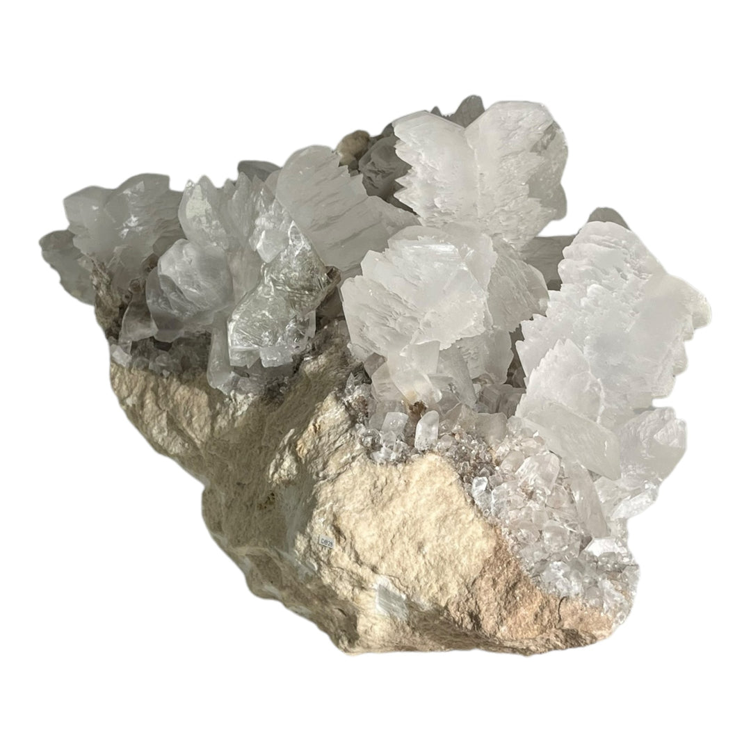 Selenite Fishtail Naica Mexico