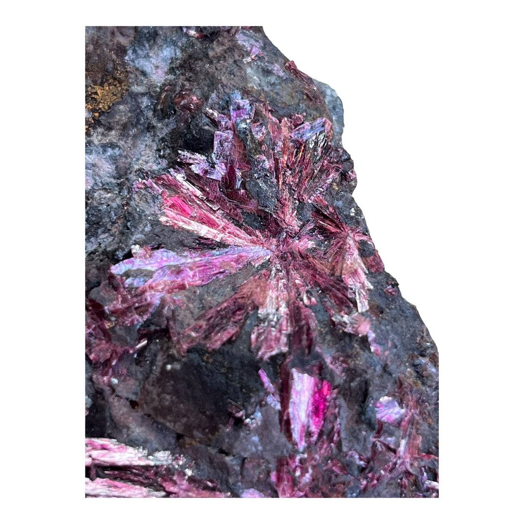 Blühender Erythrit, Bou Azzer, Marokko