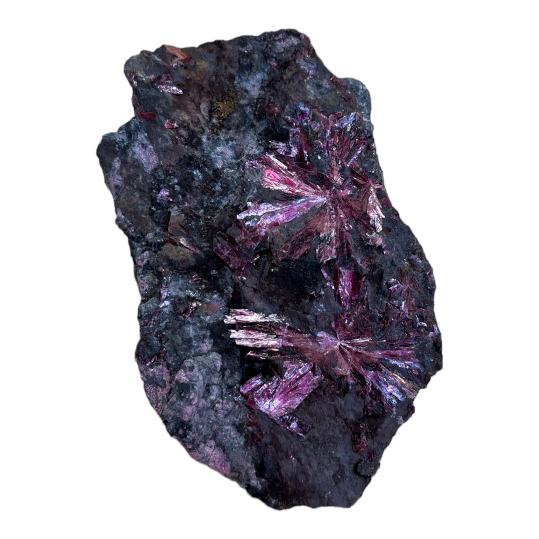 Blühender Erythrit, Bou Azzer, Marokko