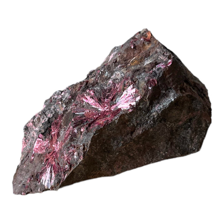 Blühender Erythrit, Bou Azzer, Marokko