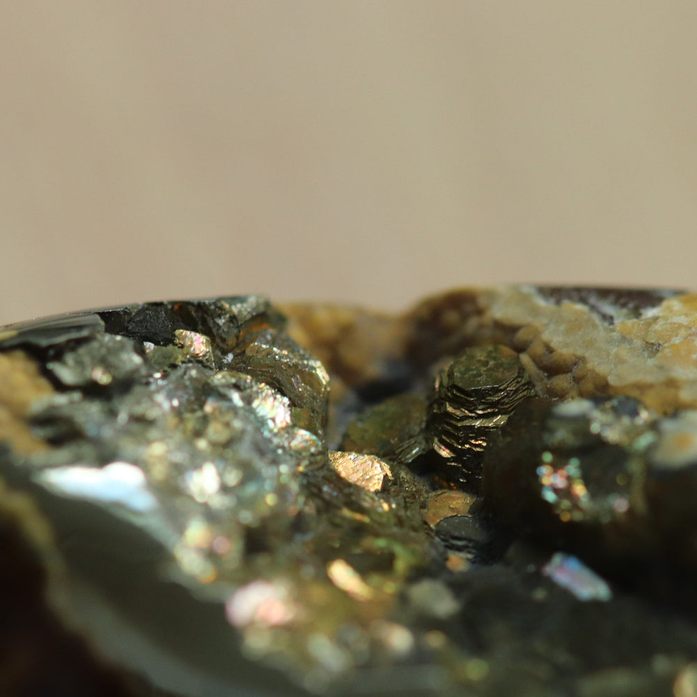 Ammonite pyritisée, AM_P033, taille cabochon, 58x24x10 mm; 22.6g;