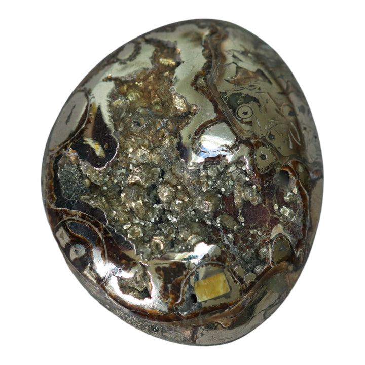 Pyritized ammonite, AM_P067, cabochon cut, 47x39x11mm; 29.3g;