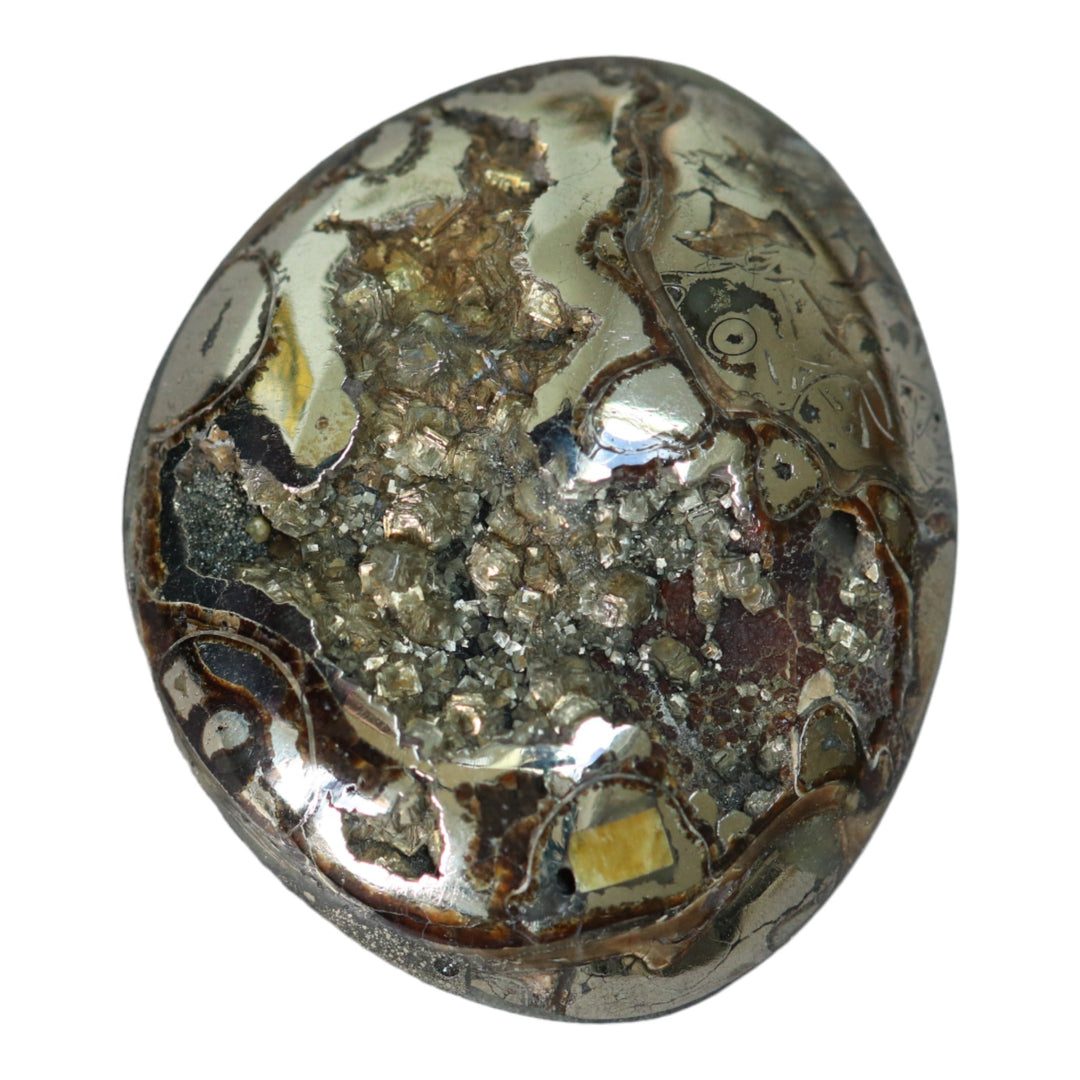 Pyritized ammonite, AM_P067, cabochon cut, 47x39x11mm; 29.3g;