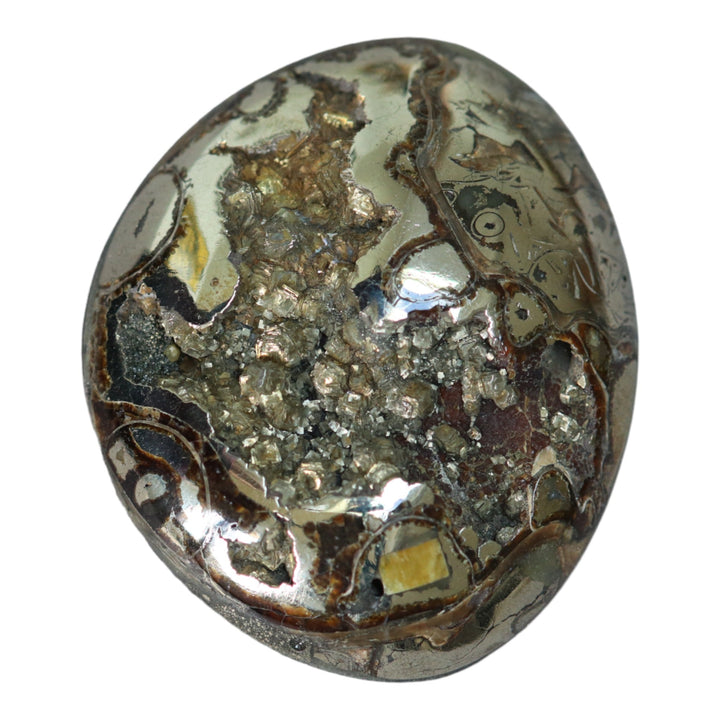 Pyritized ammonite, AM_P067, cabochon cut, 47x39x11mm; 29.3g;