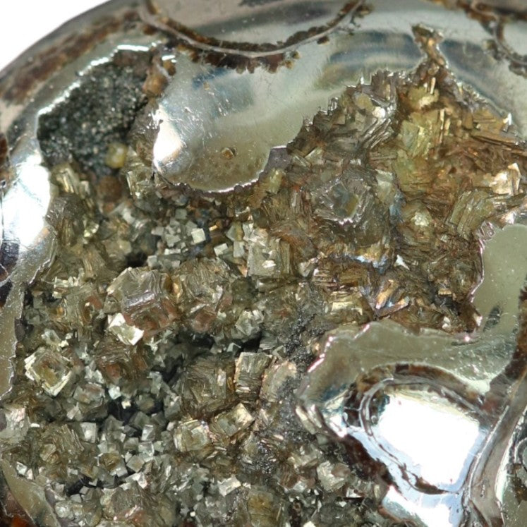 Pyritized ammonite, AM_P067, cabochon cut, 47x39x11mm; 29.3g;