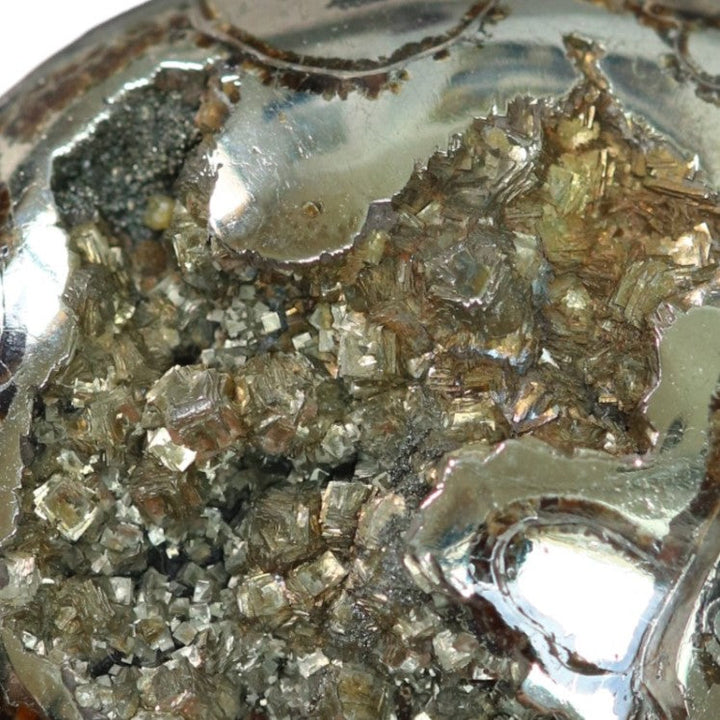 Pyritized ammonite, AM_P067, cabochon cut, 47x39x11mm; 29.3g;