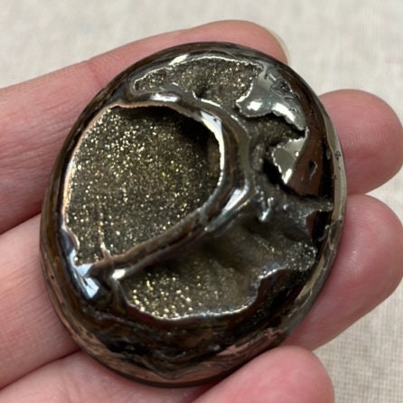 Pyritisierter Ammonit, AM_P034, Cabochongröße, 42x30x11mm; 19,4g;