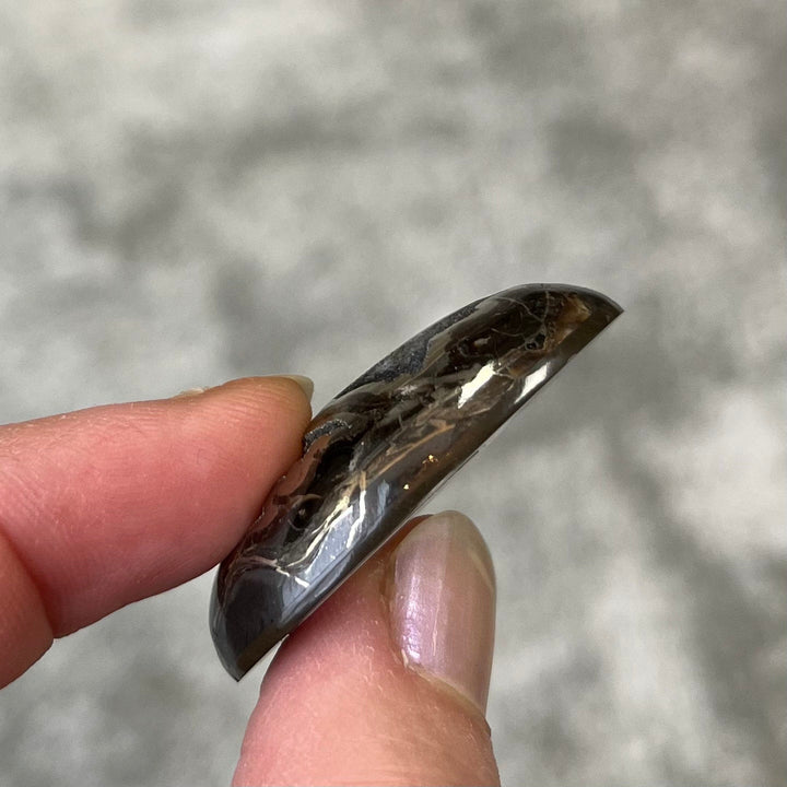 Pyritisierter Ammonit, AM_P092, Cabochongröße, 38x25x10 mm; 14 g;