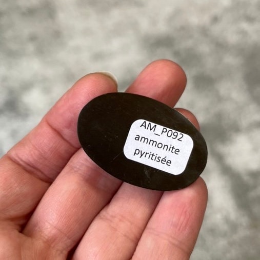 Pyritisierter Ammonit, AM_P092, Cabochongröße, 38x25x10 mm; 14 g;