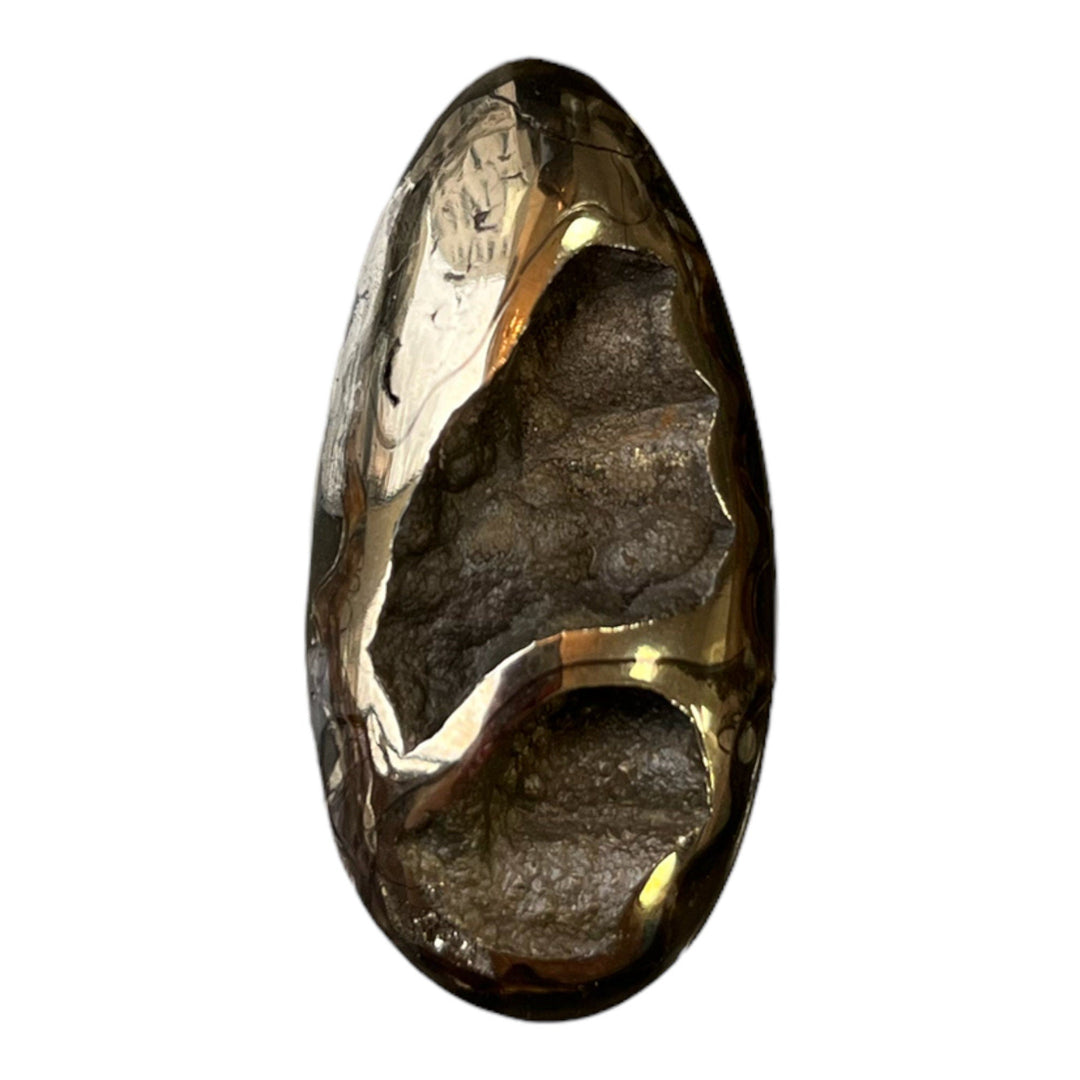 Pyritisierter Ammonit, AM_P051, Cabochongröße, 42x20x8 mm; 9,4 g;