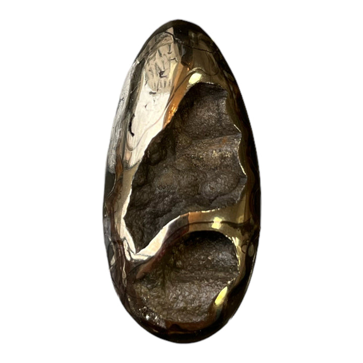Pyritisierter Ammonit, AM_P051, Cabochongröße, 42x20x8 mm; 9,4 g;