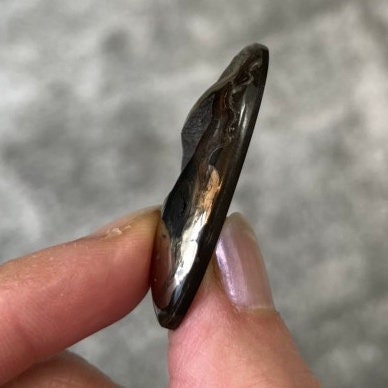 Pyritisierter Ammonit, AM_P051, Cabochongröße, 42x20x8 mm; 9,4 g;