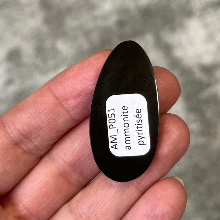 Pyritisierter Ammonit, AM_P051, Cabochongröße, 42x20x8 mm; 9,4 g;