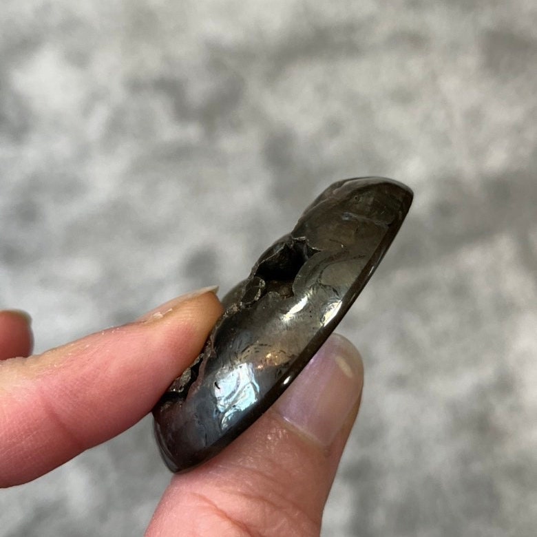 Pyritisierter Ammonit, AM_P020, Cabochon-Schliff, 49x39x11 mm; 43,5 g;