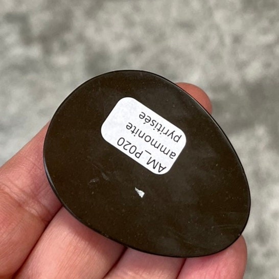 Pyritisierter Ammonit, AM_P020, Cabochon-Schliff, 49x39x11 mm; 43,5 g;