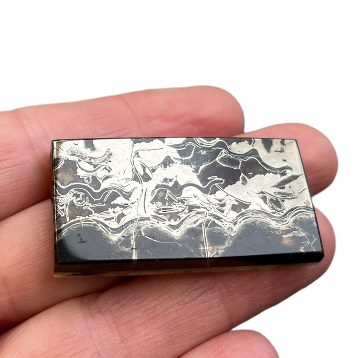 Pyritized ammonite, AM_P060, cabochon size, 41x21x6 mm; 15g;