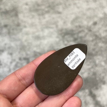 Ammonite pyritisée, AM_P083, taille cabochon, 57x30x7 mm; 19.5g;