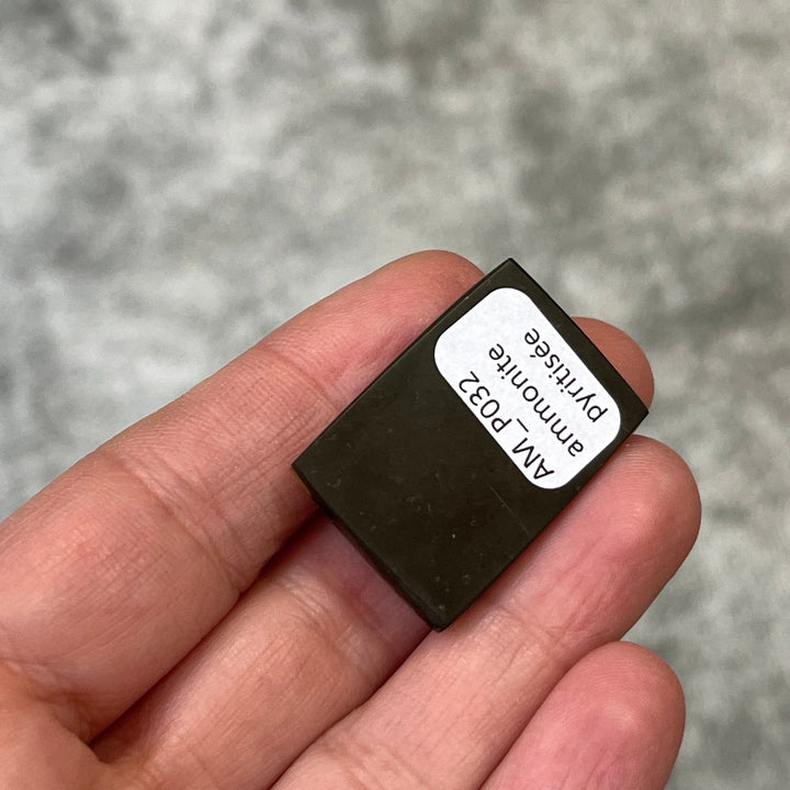 Pyritized ammonite, AM_P032, cabochon cut, 31x21x9 mm; 12.2g