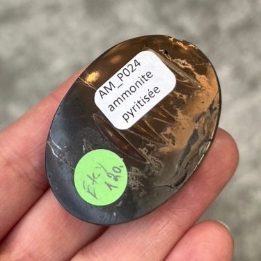 Ammonite pyritisée, AM_P024, taille cabochon, 59x44x11 mm; 29g;
