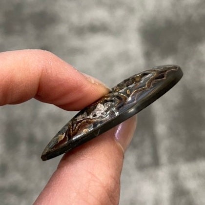 Ammonite pyritisée, AM_P046, taille cabochon, 52x25mm; 12 g