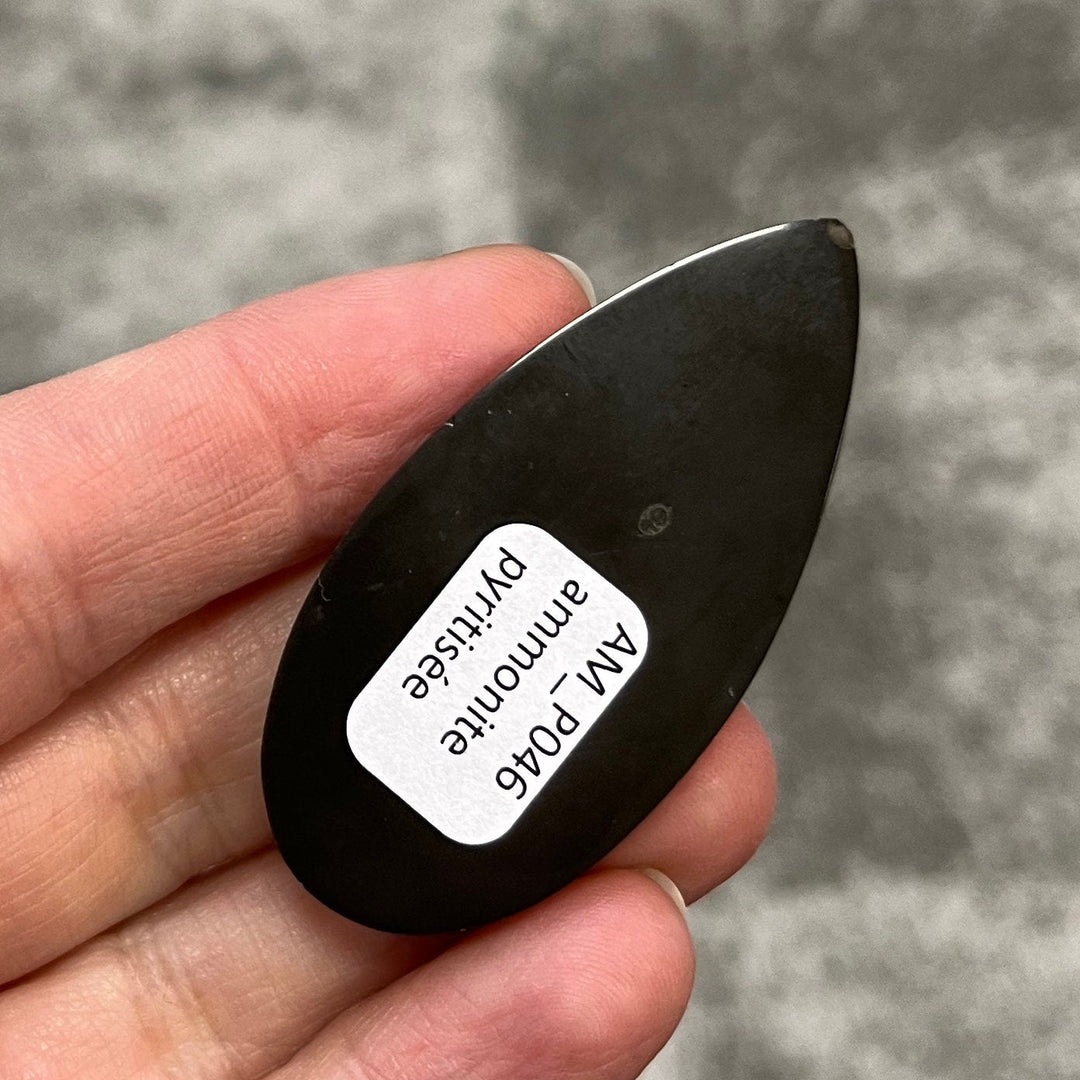 Ammonite pyritisée, AM_P046, taille cabochon, 52x25mm; 12 g