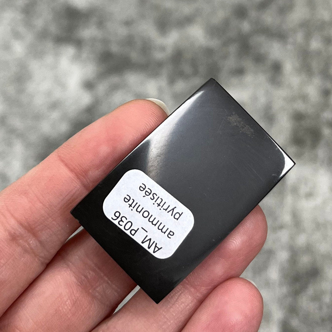 Pyritisierter Ammonit, AM_P036, Cabochongröße, 42x36x8 mm; 18,4 g;