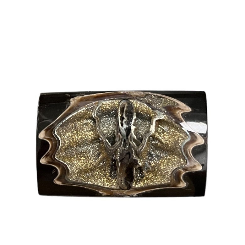 Pyritisierter Ammonit, AM_P036, Cabochongröße, 42x36x8 mm; 18,4 g;