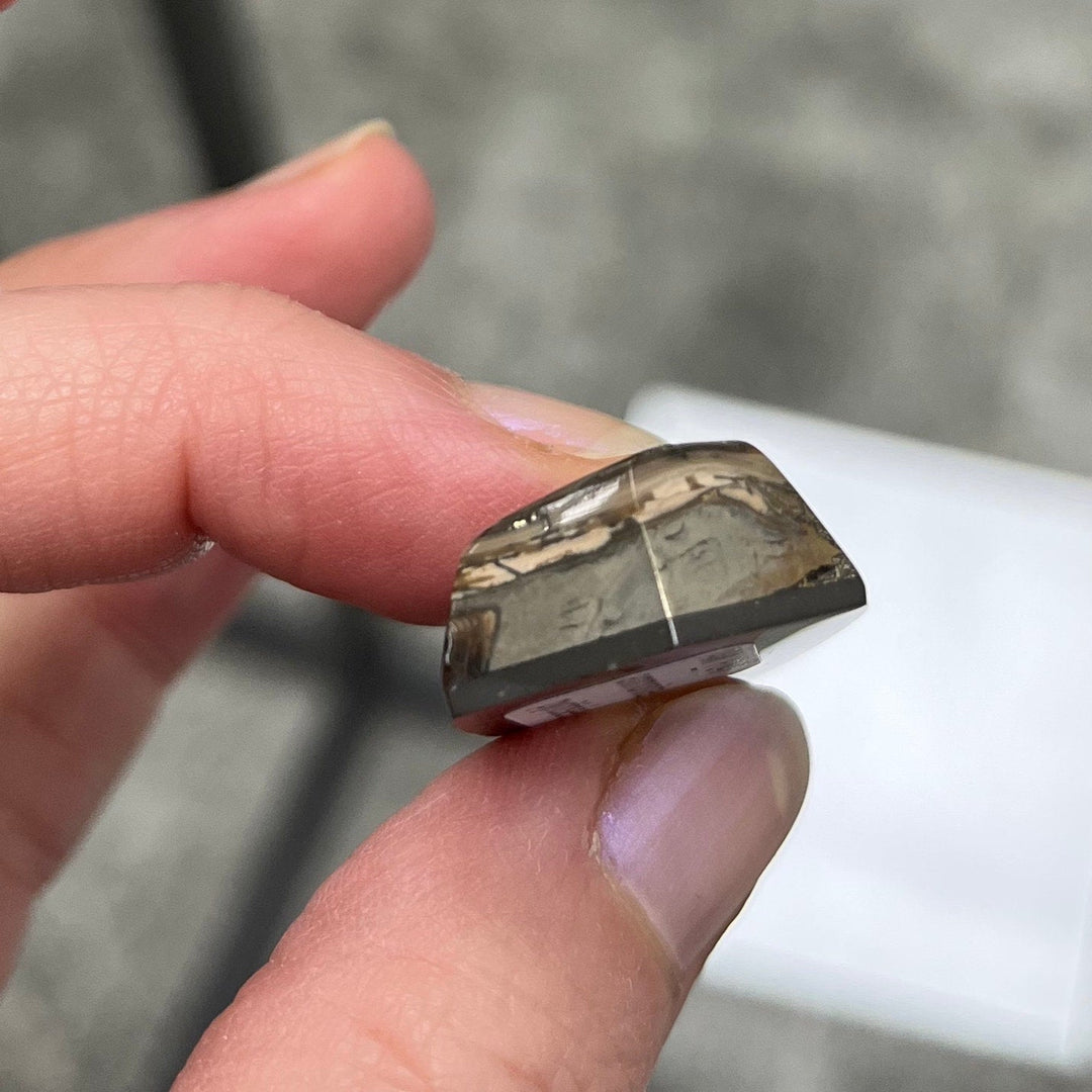 Ammonite pyritisée, AM_P047, taille cabochon, 50x20x9 mm; 16.6g;