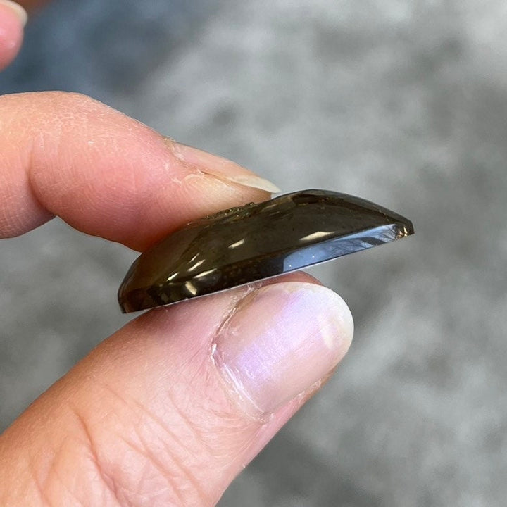 Pyritisierter Ammonit, AM_P108, Cabochon-Schliff, 31x25x7 mm; 8,8 g;