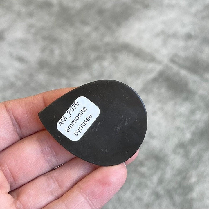 Pyritisierter Ammonit, AM_P079, Cabochon-Schliff, 48x38x7 mm; 23 g;