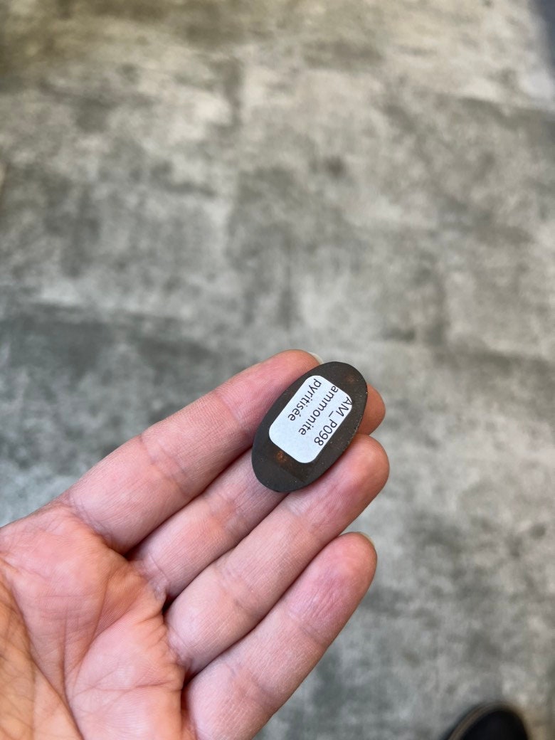 Pyritisierter Ammonit, AM_P098, Cabochon-Schliff, 32 x 18 x 5 mm; 5,3 g