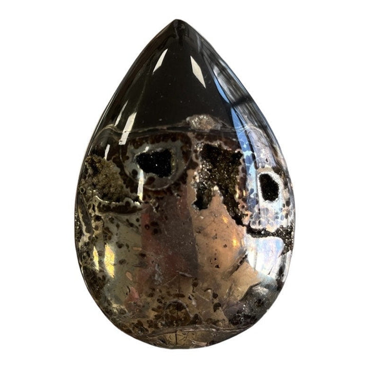 Ammonite pyritisée, AM_P021, taille cabochon, 61x41x10 mm; 37g;