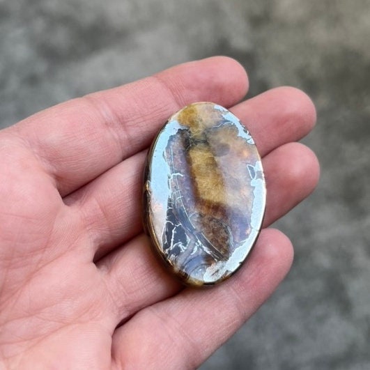 Pyritized ammonite, AM_P044, cabochon cut, 44x29x5 mm; 15g;