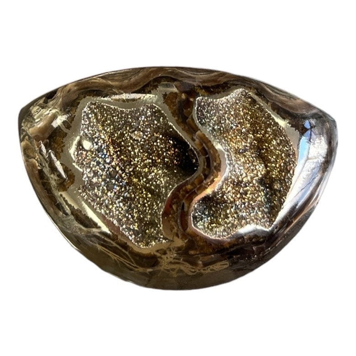 Pyritisierter Ammonit, AM_P038, Cabochongröße, 45x30x10 mm; 17,4 g;